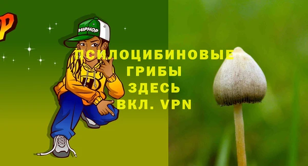 сатива Абаза