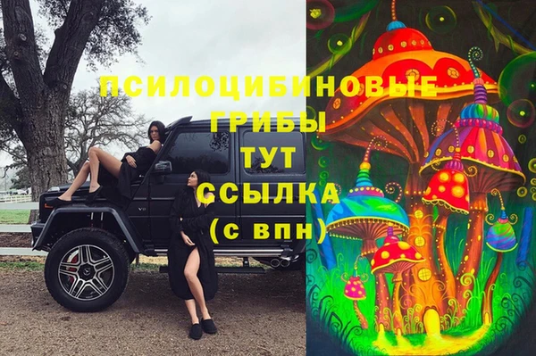Альфа ПВП Майский