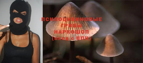 Альфа ПВП Майский