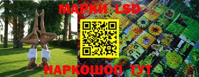 шишки Балашиха