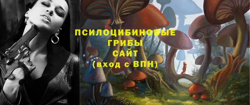 Псилоцибиновые грибы Magic Shrooms  Добрянка 