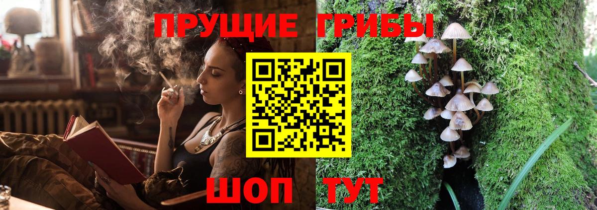 Псилоцибиновые грибы Magic Shrooms  Добрянка 